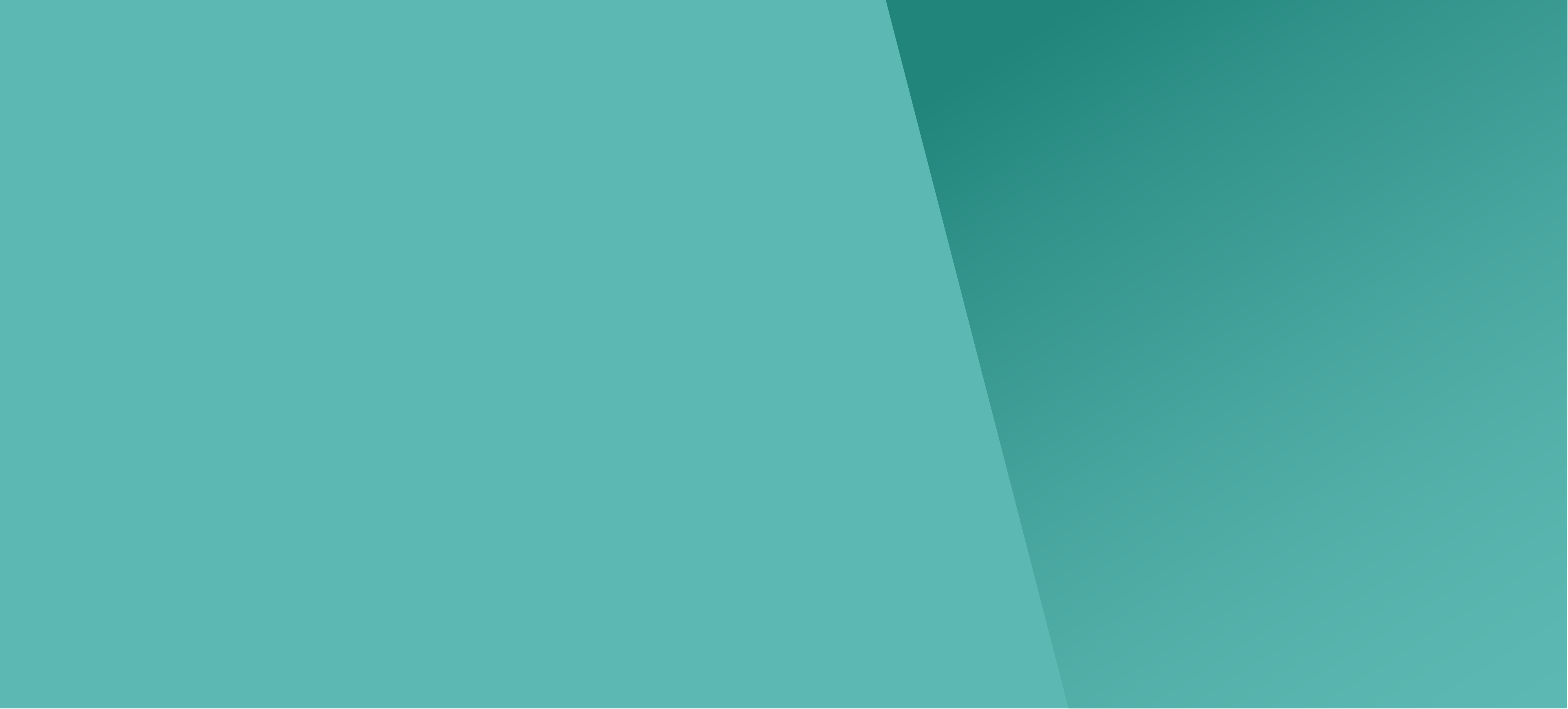 WeSeal Website Visuals NZ-Tint-1
