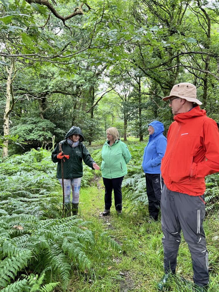 4 people in a forest listening to a talk from a conservationist