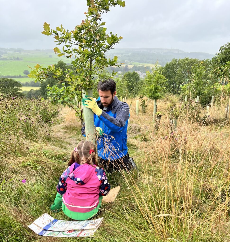 Father and daughter engaged in conservation work laying mulch mats at base of young saplings